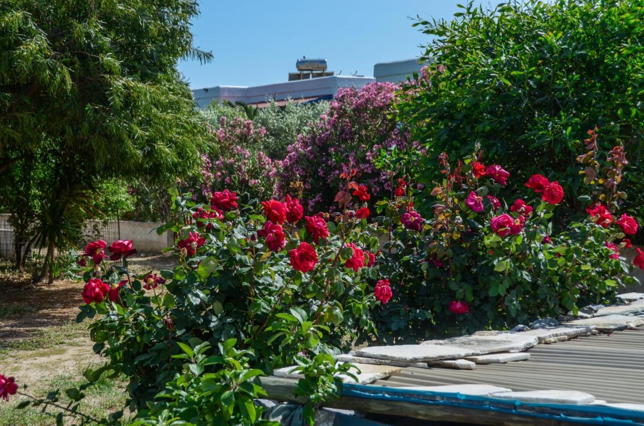 Golden Beach Glyfada Apartments Kastrákion 외부 사진