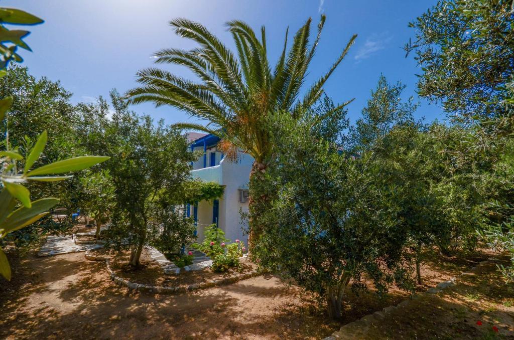 Golden Beach Glyfada Apartments Kastrákion 외부 사진