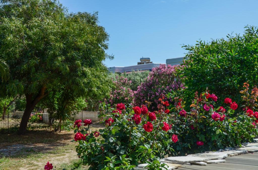 Golden Beach Glyfada Apartments Kastrákion 외부 사진